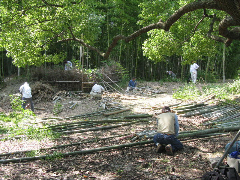 ▲２０１０年７月２６日吹田市　桃山台　桃山公園IMG_4542