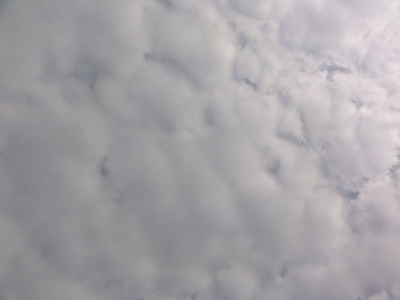 DSC02405