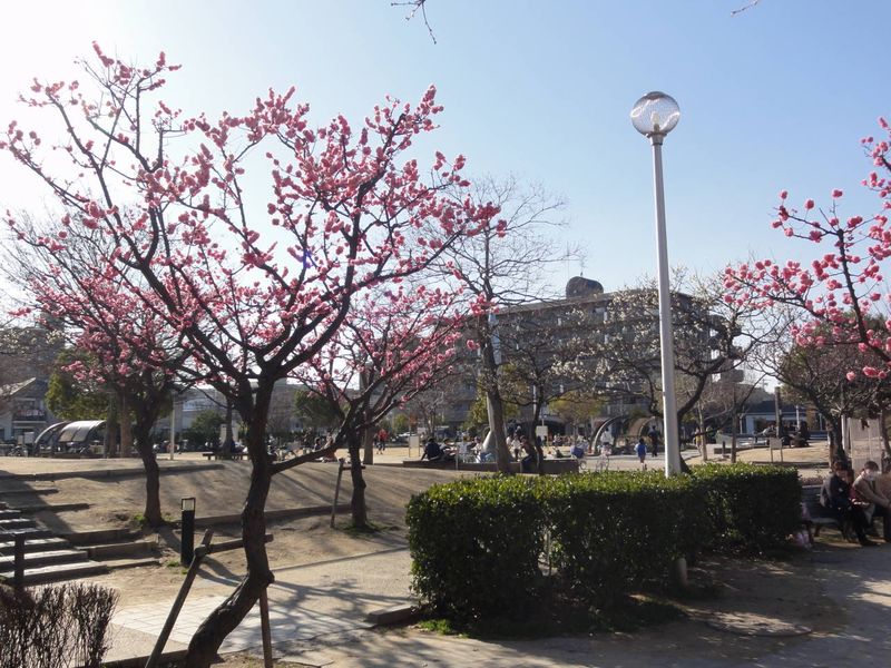 DSC07001