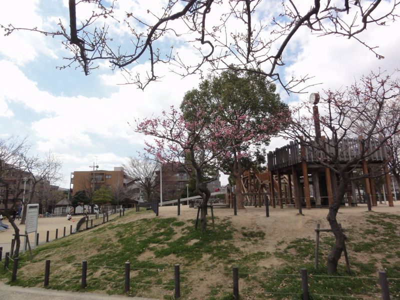 DSC00151
