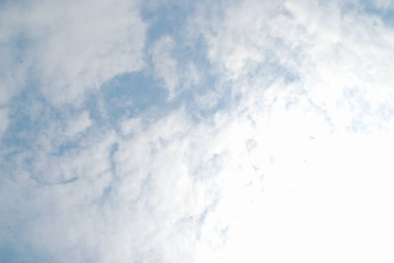 DSC_8895