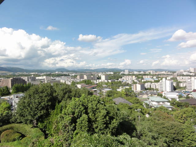 DSC03305
