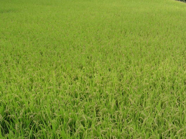 DSC04780