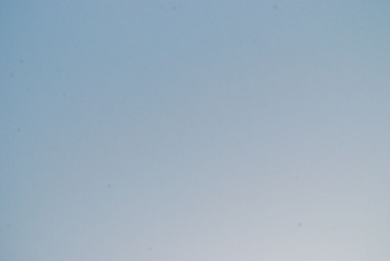 DSC_1652
