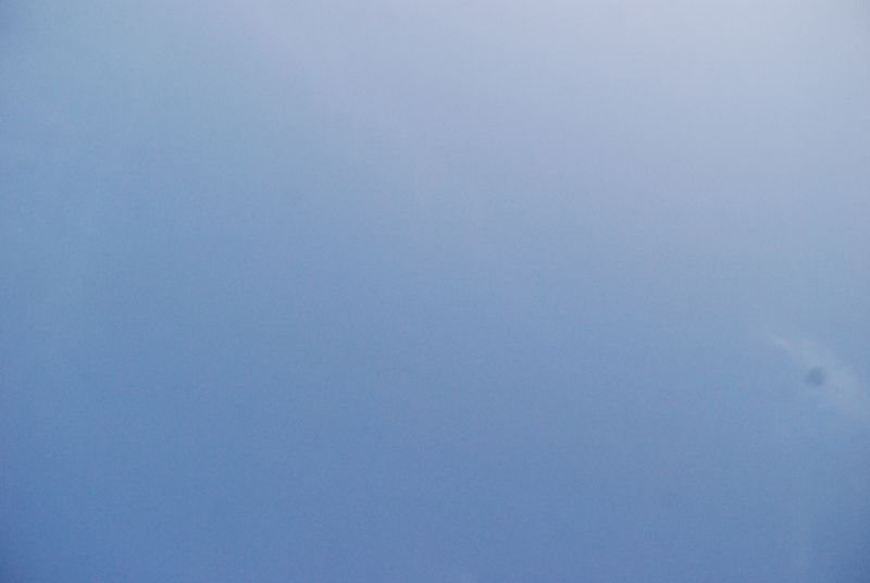 DSC_1675