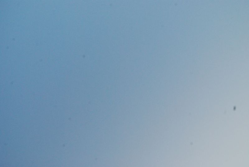 DSC_6933