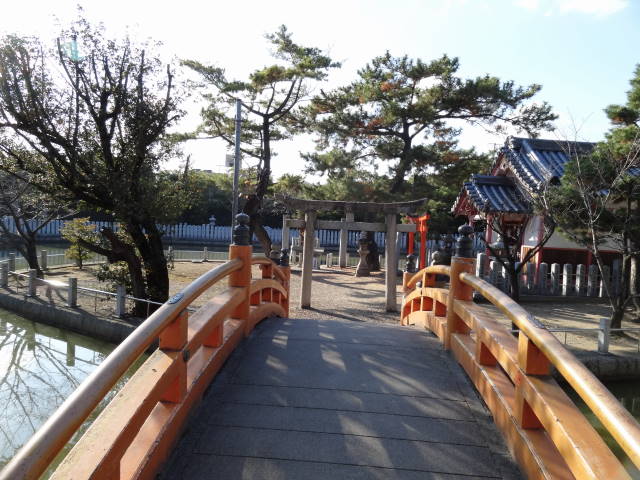 DSC07008