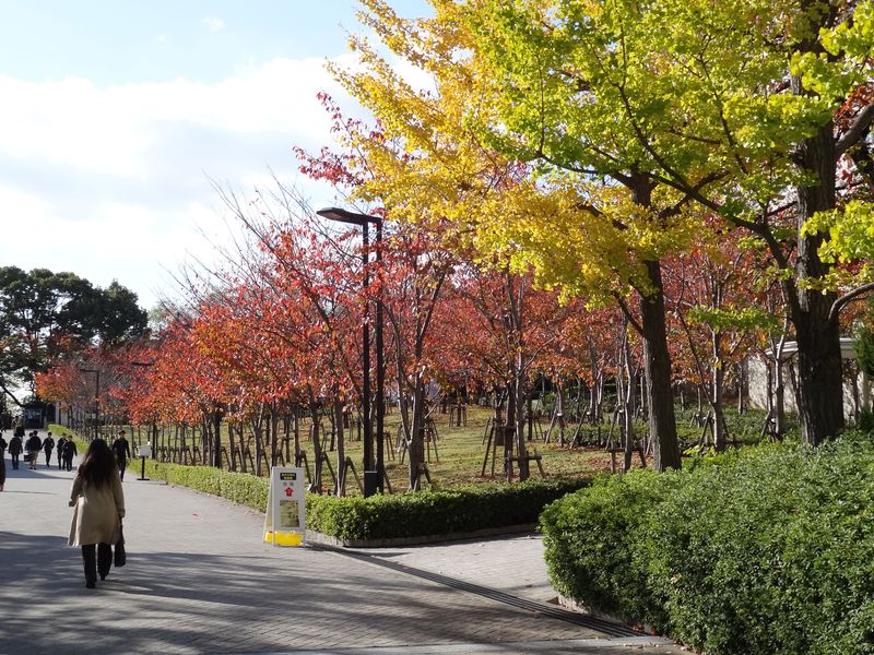 DSC04553 DSC04553