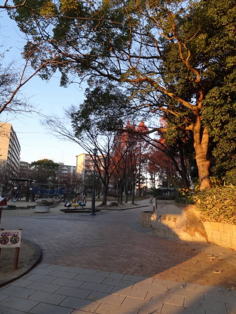 DSC07209