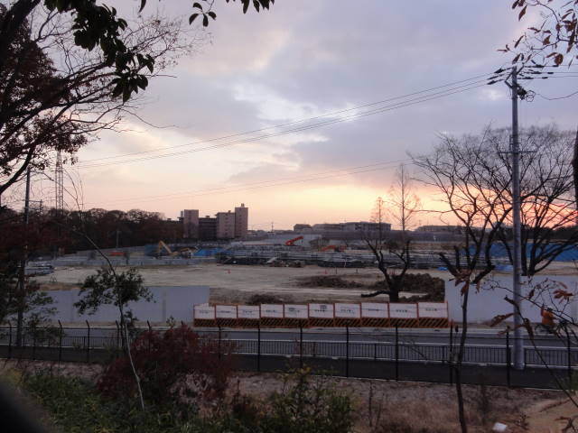 DSC07915