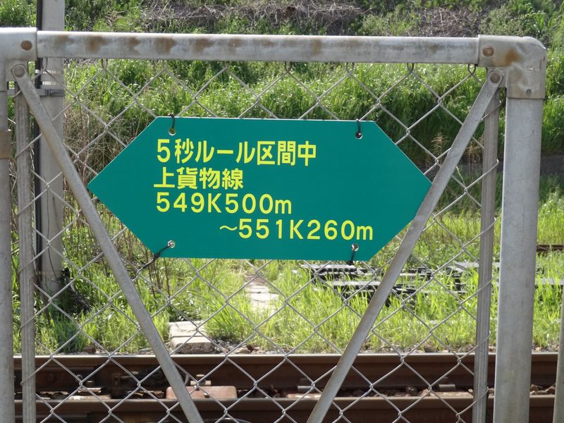 DSC06795 DSC06795