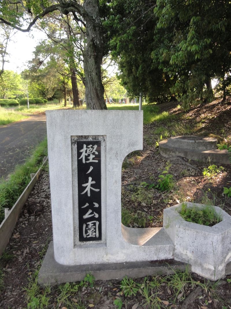 DSC07506
