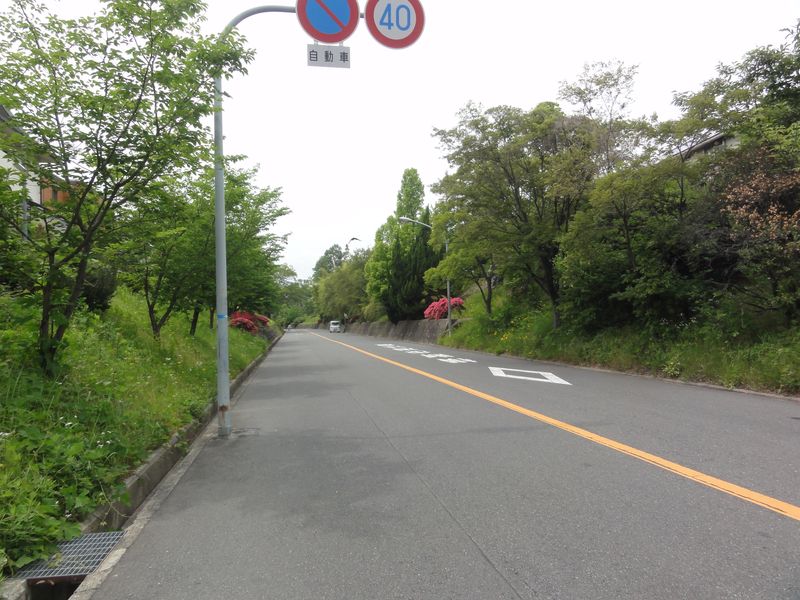 DSC00890