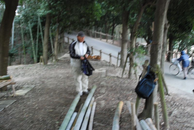 DSC_1517 DSC_1517