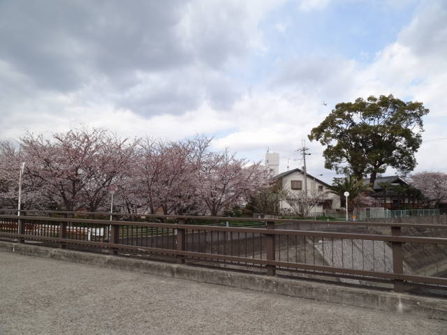 DSC03239