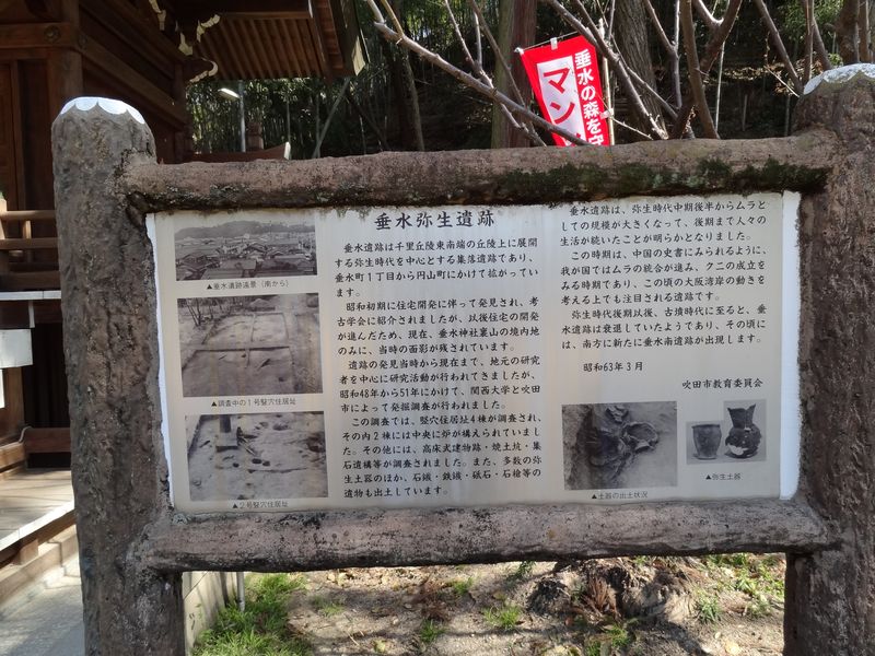DSC03903