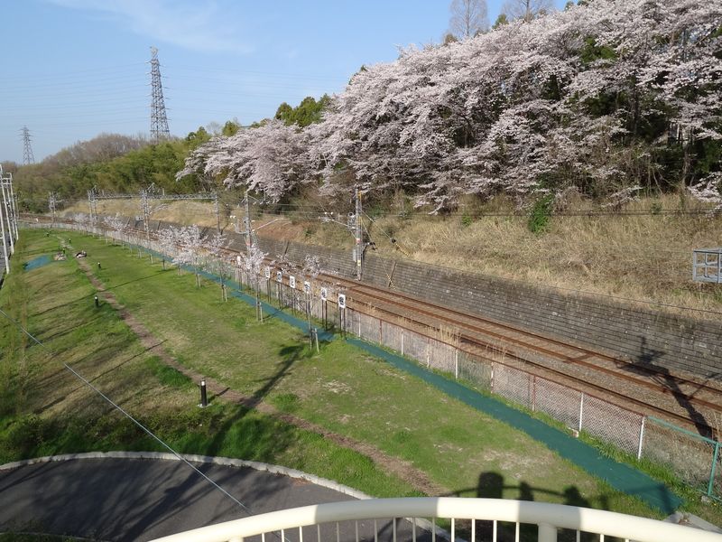 DSC05130