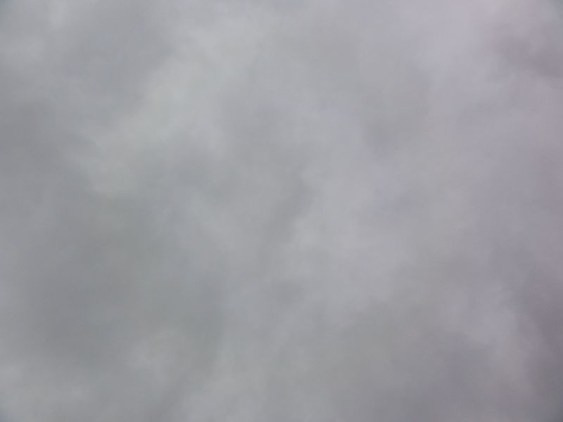 DSC06250