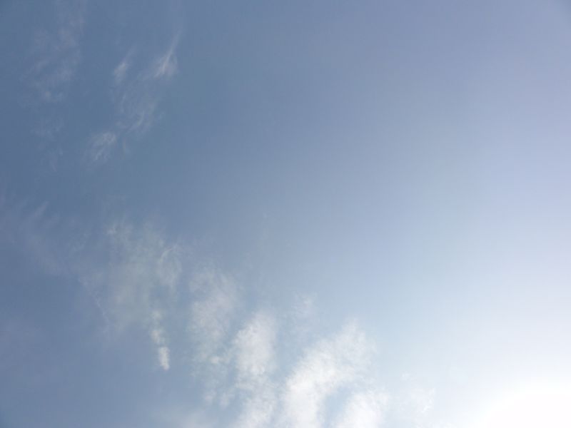 DSC08606