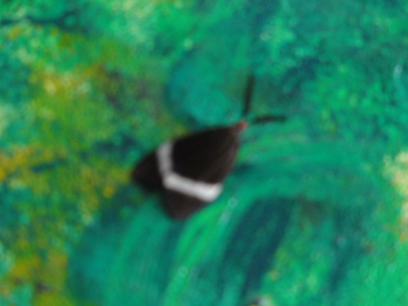 DSC01386