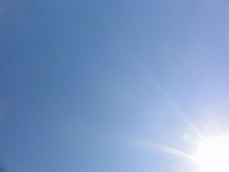 DSC04216
