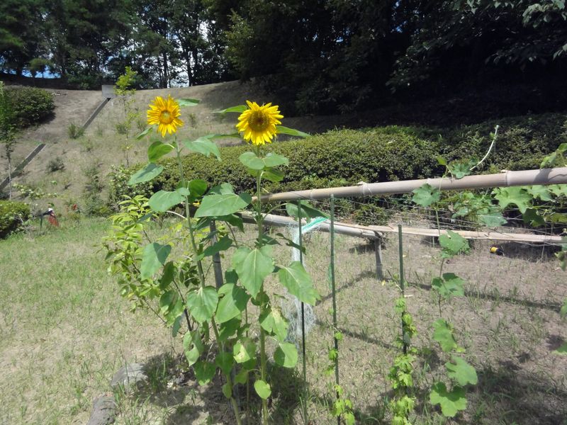 DSC06057