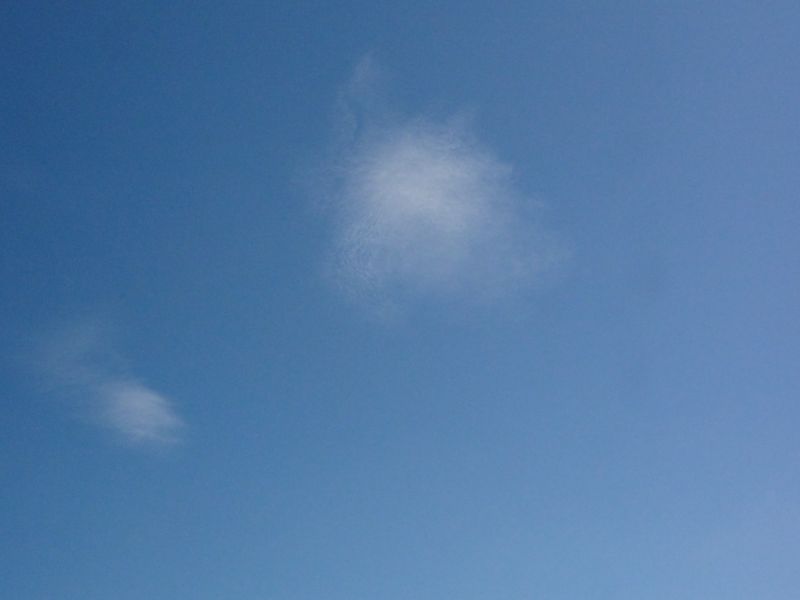 DSC01886