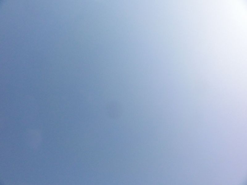 DSC03305