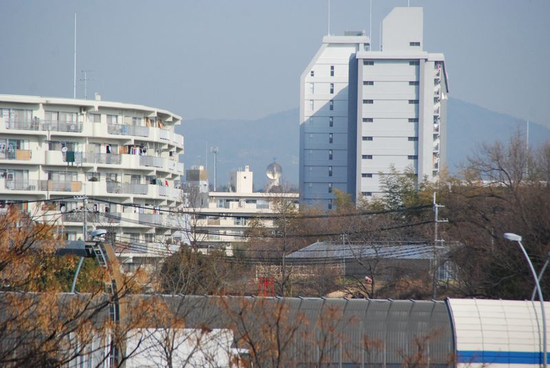 DSC_4465