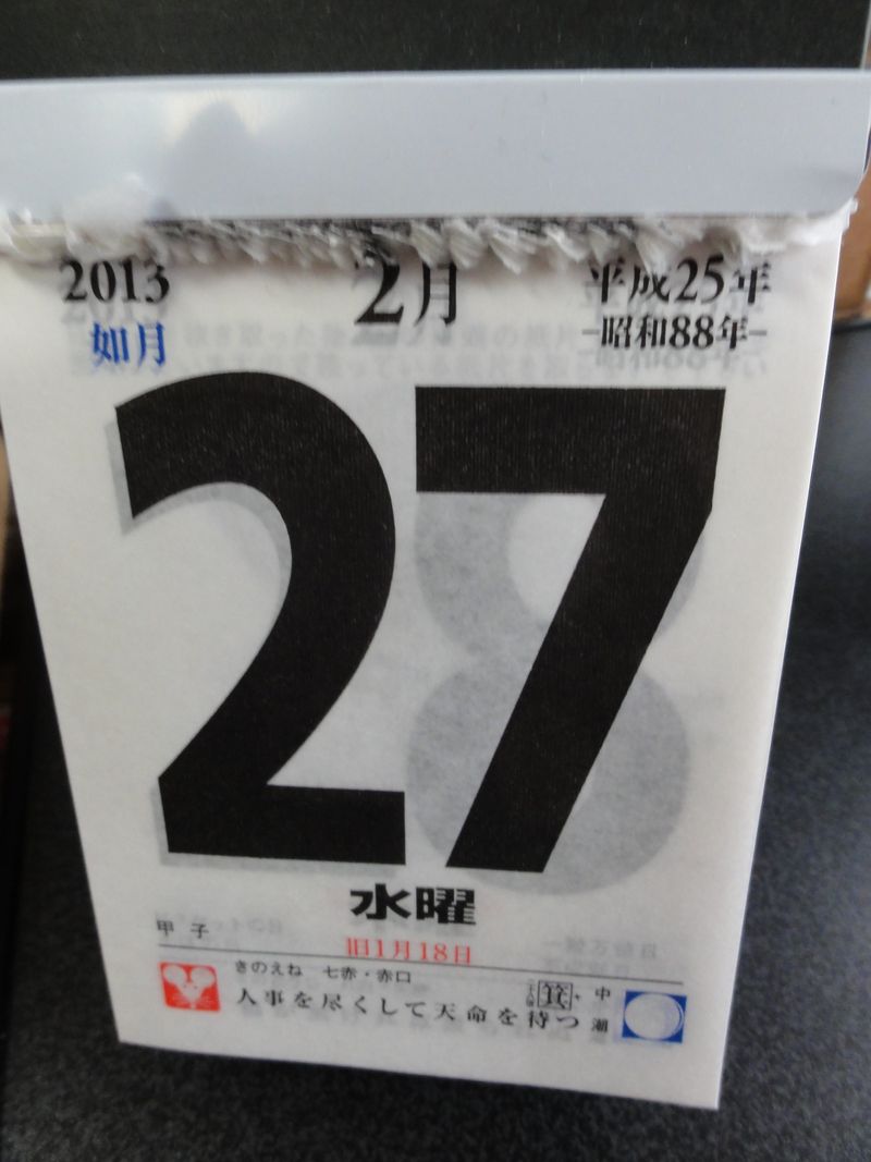 DSC07530 DSC07530