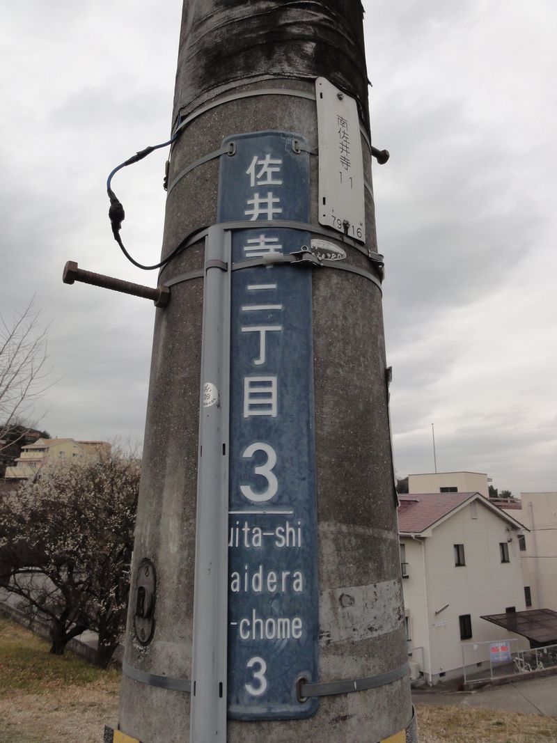 DSC07843