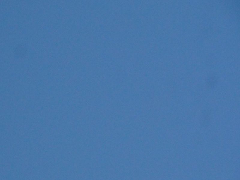 DSC06027