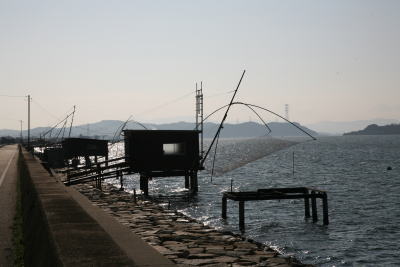 Image1