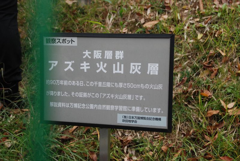 DSC_4051 DSC_4051
