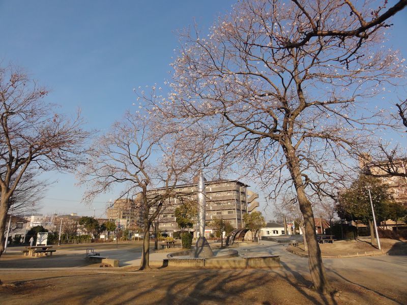 DSC03538 DSC03538