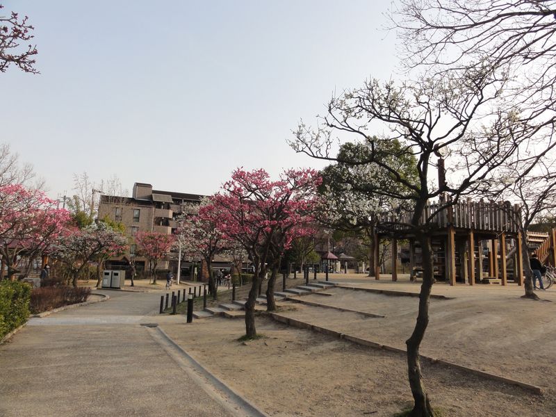 DSC09121
