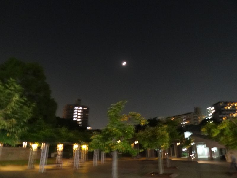 DSC04587