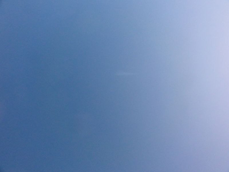 DSC09549