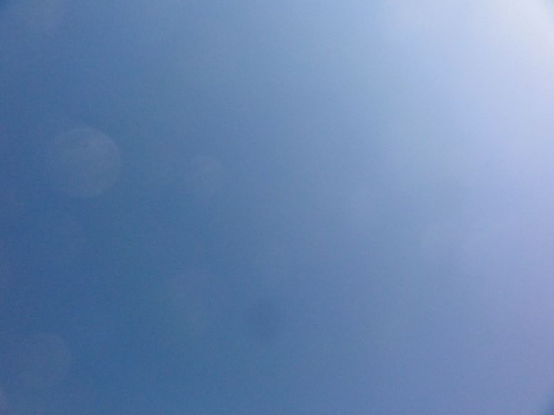 DSC02910