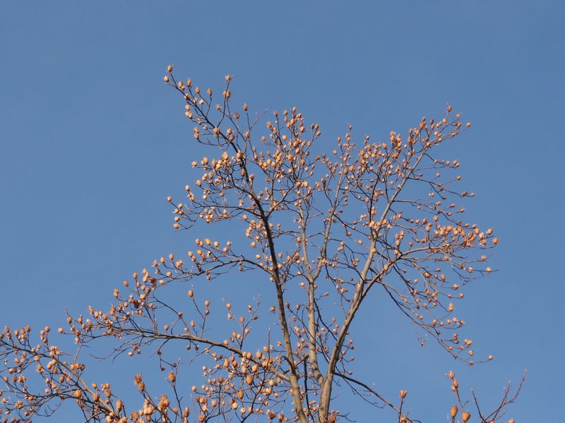 DSC03537 DSC03537