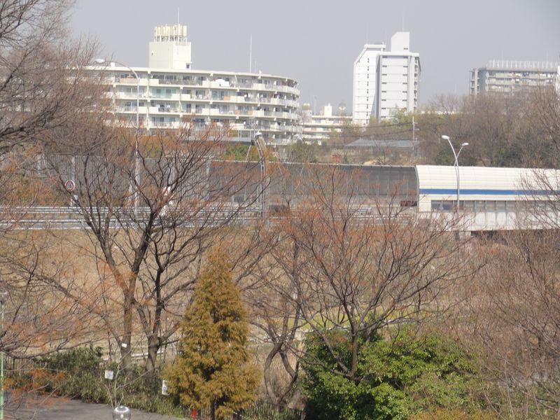 DSC09455