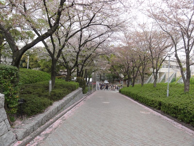 DSC08129