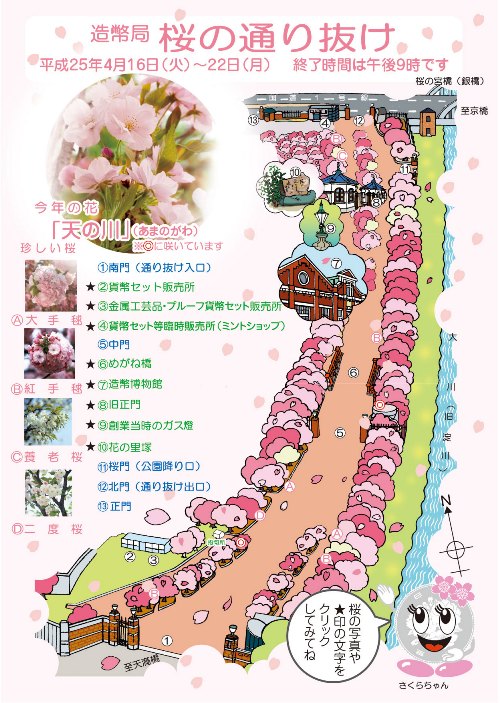 Sakura_map2013