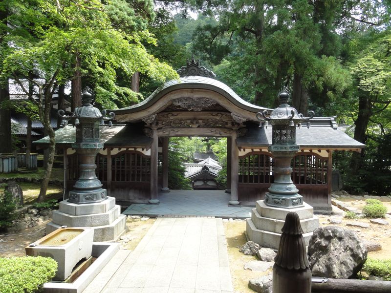 DSC00493 DSC00493