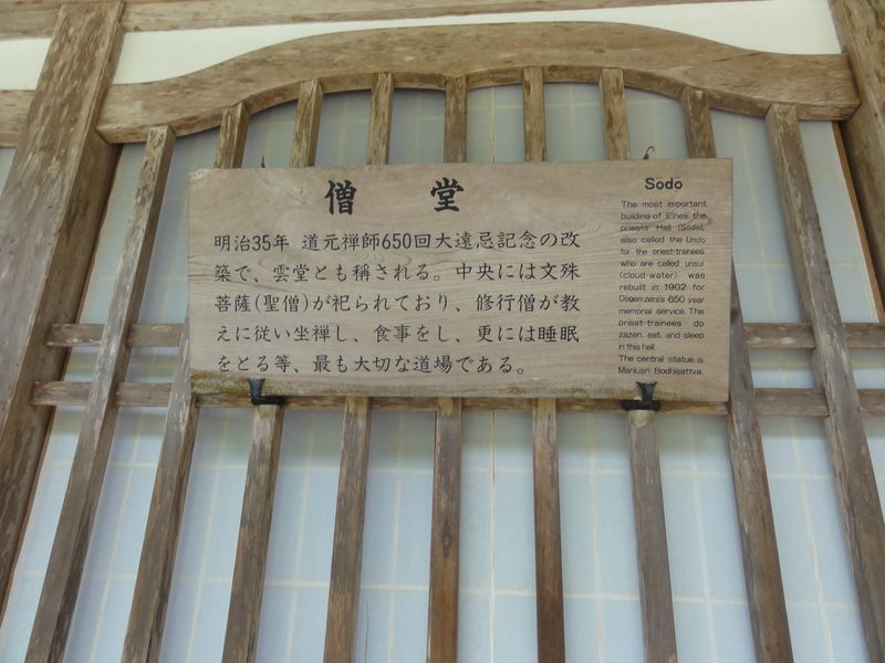 DSC00505 DSC00505