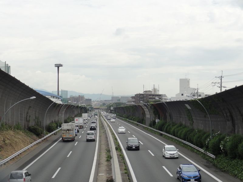 DSC07308