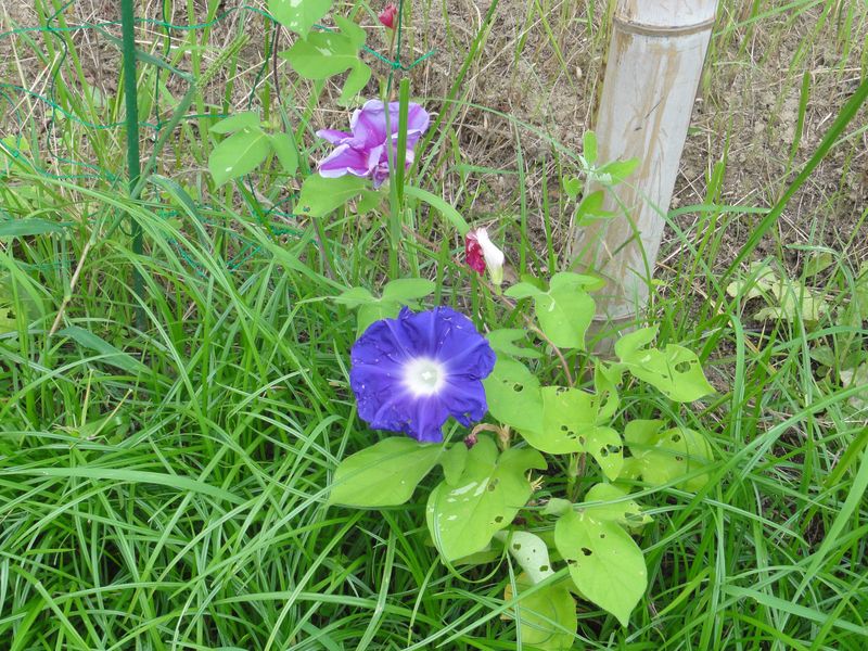 DSC02027