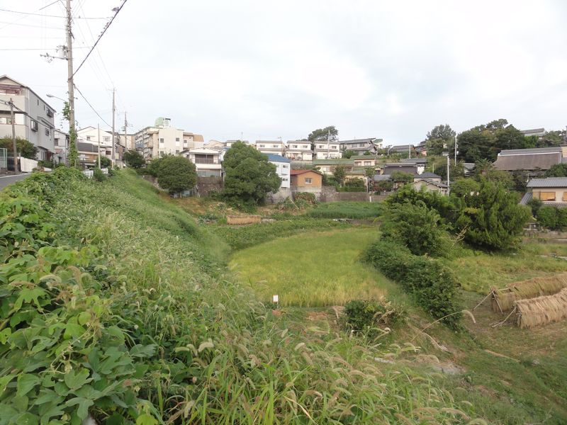DSC08040
