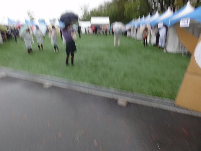 3DSC01054 3DSC01054