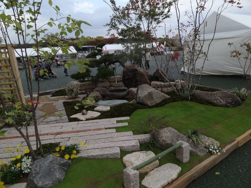 DSC096000560